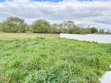 Maison 3 chambres SALLERTAINE (85)
