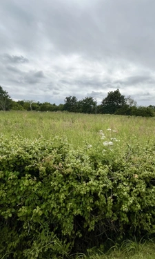 Terrain 828 m²  LEGE (44)