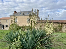 Maison de Caractère 272m² MORMAISON, Montreverd (85260)