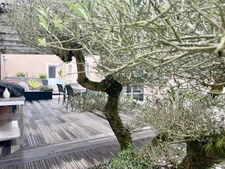 Maison à vendre 4 chambres Rocheservière