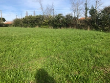 Terrain 10 045,00 m², dont 2564 m² constructibles sur  SAINT PHILBERT DE GRAND LIEU (44)