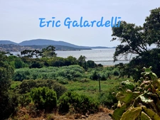 Terrain à vendre   Exclusif– Terrain à bâtir arboré  de 2 000 m² avec bergerie et vue mer  hauts de BaracciOLMETO (20)