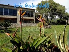 Propriete à vendre : Demeure de charme vue mer & fort potentiel d'extension hôtelière — Olmeto / Golfe du Valinco 17 pièces OLMETO (20)