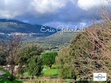 A VENDRE Ensemble immobilier locatif de 3 appartements T2 en rez-de-jardin sur la commune de VIGGIANELLO (20) proche plage et Propriano