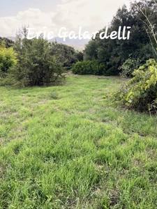 Terrain à vendre Exclusif– Terrain à bâtir arboré  de 2 000 m² avec vue mer  OLMETO (20)
