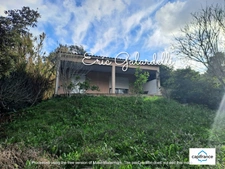 A VENDRE Ensemble immobilier locatif de 3 appartements T2 en rez-de-jardin sur la commune de VIGGIANELLO (20) proche plage et Propriano