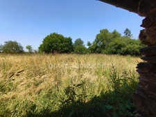 LIEURON 35550 - Maison à rénover avec four à pain, dépendance, terrain de 8000 m².