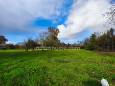 Terrain à vendre de 1 300,00 m² Proche de PIPRIAC (35)