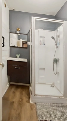 Maison à vendre 17 pièces  (49)