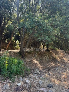 Land for sale of 3,380 m² GALERIA (Corsica)