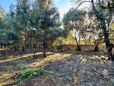 Terrain 3250 m2 avec batiment de 200m2 habitables à vendre, proche de L'ILE ROUSSE (20)