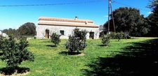 EXCLUSIVITE : Proche de L'ILE ROUSSE, Plaine du Reginu, propriété en pierre T5 161 m² sur 1.96 ha de terrain   