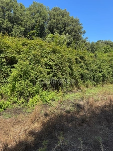 Land for sale of 3,380 m² GALERIA (Corsica)