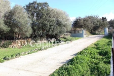 EXCLUSIVITE : Proche de L'ILE ROUSSE, Plaine du Reginu, propriété en pierre T5 161 m² sur 1.96 ha de terrain   