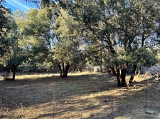 Terrain 3250 m2 avec batiment de 200m2 habitables à vendre, proche de L'ILE ROUSSE (20)