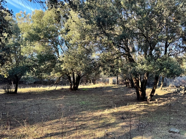 Terrain 3250 m2 avec batiment de 200m2 habitables à vendre, proche de L'ILE ROUSSE (20)