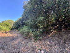 Land for sale of 3,380 m² GALERIA (Corsica)