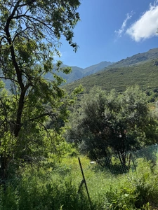 Land for sale in OCCHIATANA (20)
