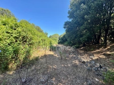 Land for sale of 3,380 m² GALERIA (Corsica)