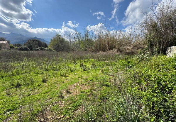 Terrain plat constructible à vendre à SPELONCATO (20)