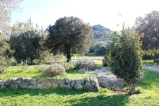 EXCLUSIVITE : Proche de L'ILE ROUSSE, Plaine du Reginu, propriété en pierre T5 161 m² sur 1.96 ha de terrain   