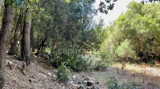Land for sale of 3,380 m² GALERIA (Corsica)