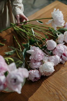 Fonds de commerce Fleuriste à VENTABREN (13)