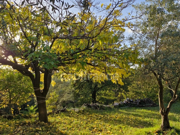 Rare - Propriété en pierre de rognes avec piscine sur 6 000 m² – Fort potentiel à Éguilles 13510