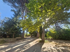 VELAUX – EXCEPTIONAL 3.45 HECTARE ESTATE NEAR AIX-EN-PROVENCE