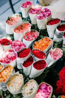 Fonds de commerce Fleuriste à VENTABREN (13)