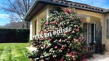 À Vendre – Maison Individuelle 6 pièces à Villeneuve de rivière (31) – 188 m²