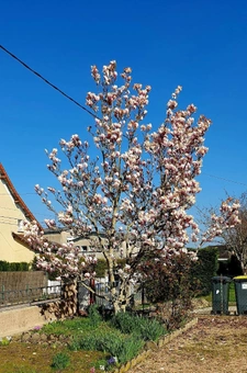 Maison mitoyenne de 100 m², combles aménageables, jardin et garage : une opportunité à Ciry-le-Noble