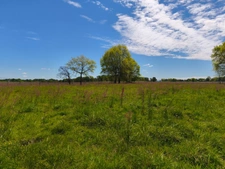 PROPERTY COMPLEX - HIGH PROFITABILITY + POTENTIAL AIRE SUR L'ADOUR (40)