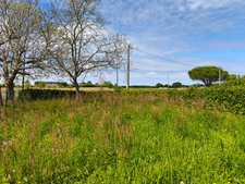 PROPERTY COMPLEX - HIGH PROFITABILITY + POTENTIAL AIRE SUR L'ADOUR (40)