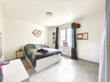 PROPERTY COMPLEX - HIGH PROFITABILITY + POTENTIAL AIRE SUR L'ADOUR (40)