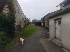  À vendre – Fonds de commerce  - Boulangerie-Pâtisserie en cœur de ville – Nord-sur-Erdre (44)