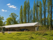 SAINT-ARMEL (56) – Propriété de caractère, 4 Chambres avec 2 hectares de terrain à 2 minutes de la mer