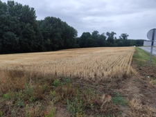 Terrain à vendre de 4 219,00 m² BETHANCOURT EN VALOIS (60)