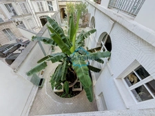 Élégance Art Déco et esprit loft au cœur du 9ᵉ arrondissement de Paris