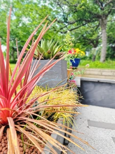 Saint-Aignan (Guerlédan) - Grande maison familiale ossature bois, vie plain-pied, jardin 2400m2, campagne au calme! Rare!!