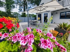 Saint-Aignan (Guerlédan) - Grande maison familiale ossature bois, vie plain-pied, jardin 2400m2, campagne au calme! Rare!!