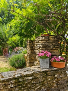 LE TREVOUX - Propriété en pierre avec maison principale, gîte indépendant et dépendances sur près d’un hectare