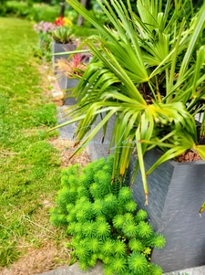 Saint-Aignan (Guerlédan) - Grande maison familiale ossature bois, vie plain-pied, jardin 2400m2, campagne au calme! Rare!!