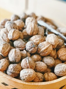 Saint-Aignan (Guerlédan) - Grande maison familiale ossature bois, vie plain-pied, jardin 2400m2, campagne au calme! Rare!!