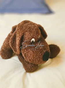 Saint-Aignan (Guerlédan) - Grande maison familiale ossature bois, vie plain-pied, jardin 2400m2, campagne au calme! Rare!!