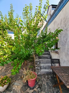 ILE DE GROIX - Domaine 9600m2, 2 habitations. Maison de154m2 sortie d'un livre d'aventure!