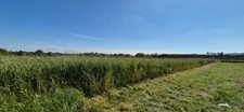 Dpt Marne (51), à vendre TERRAIN a batire de 3543 m², Commune BLANCS-COTEAUX (VERTUS) - Terrain de 3 543,00 m²