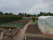 Maison à usage d'habitation exposée sud: 106 m2 à la campagne avec jardin, prairie et dépendances à 1h des plages de Concarneau