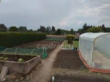 Maison à usage d'habitation exposée sud: 106 m2 à la campagne avec jardin, prairie et dépendances à 1h des plages de Concarneau