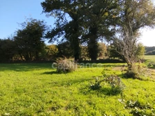 Longère rénovée en pierres très lumineuse, à vendre, 4 pièces  (22) au calme à la campagne avec grand terrain et dépendances